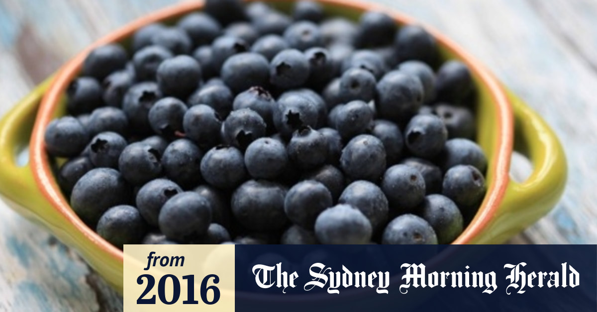 Blueberries may help prevent Alzheimer's, researchers say